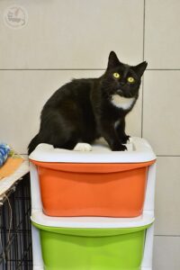_DSC0434