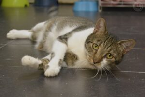 _DSC7770