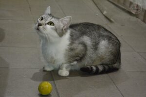 _DSC9889