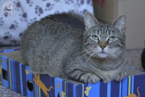 dsc0688