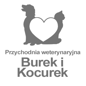 przyjaciele 3