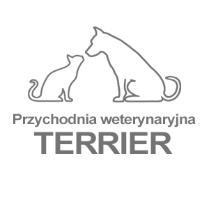 przyjaciele 4