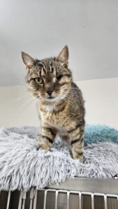 4367757a-a1b0-4c0d-ad0c-15af0d50743c