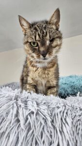 b7b55012-0a93-4c97-91cd-50755fa34d15