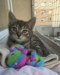 5c492cee-a515-4400-9284-8c0e8cc96205