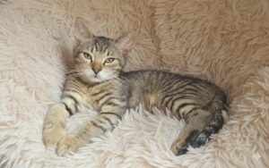 878feda7-00ec-4888-91f2-d4bb4c95d9cd