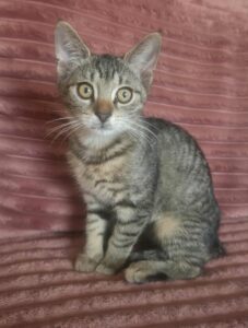 9af274bd-7b3e-4a63-994d-bac3f9b0d6d5