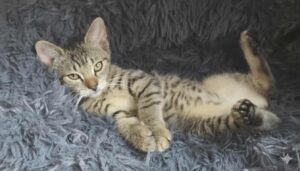 dbccde71-6e38-4443-8f4b-678cd1cb05f6