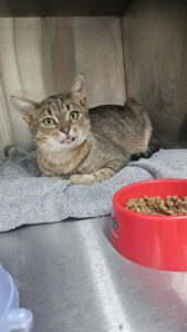 575603612_819057824179462_2094422808297086912_n