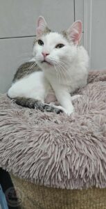 582080168_1156706539993359_4413436258871286062_n