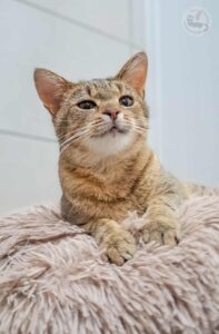 582426013_1150433597246847_4257400200930483089_n