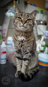 583589303_879858047805656_1081167958497410519_n