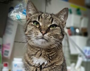 583589303_879858047805656_1081167958497410519_n