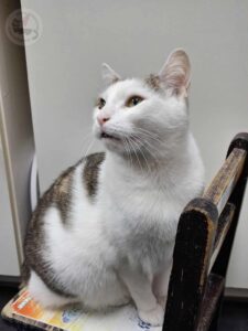 584502000_691585844020979_8371962034825125860_n