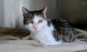 586231114_1744278999541741_4458193753619876286_n