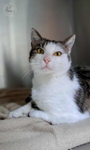 586256392_1407948857605895_6980908394164373656_n