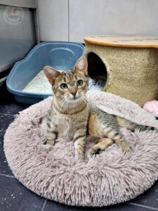 588151741_829384833046095_8080593226831669657_n