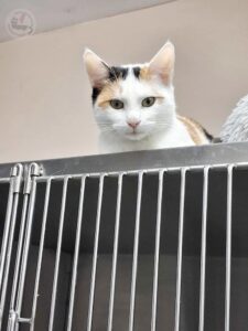 589123729_1379234750333246_488021546538455744_n