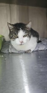 589715598_1600487118030012_2235139397617061077_n