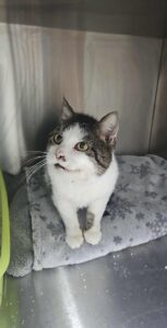 591913027_1936203381108886_8057714993812844612_n