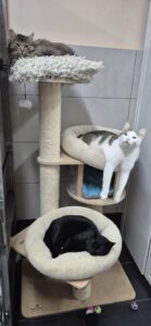 c4827123-7a9a-4d49-b447-6c756cc26e0a