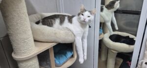 e849bd66-bd36-41f1-b957-10036ad1262a