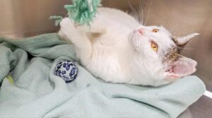 609178670_1459584149082324_933541296403405792_n