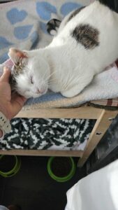 614158407_1981649869049924_3331254714467245499_n