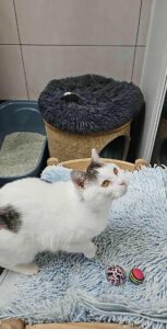 614184102_2630033167378737_4071992386668175748_n