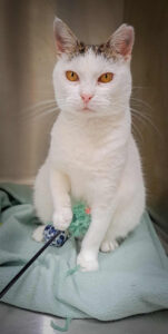 615595592_1458913505803685_786803055826290243_n