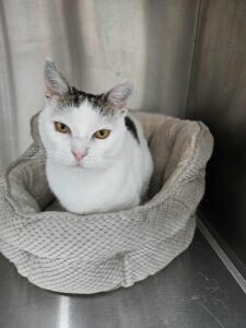 617577223_26165290019735751_3946242286582400430_n