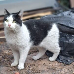 0a77160c-affb-4fd4-a0cc-7a05fd39ae0e