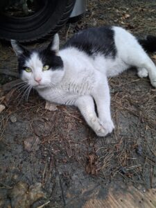 0d499849-5ae9-4731-9a25-3bdb0db1c3a2