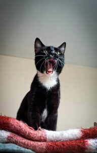 1649165a-dc5c-4a72-8e80-57f656984ea8