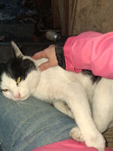 1ca2ab41-a474-4802-9b9f-a6f8fa818f34