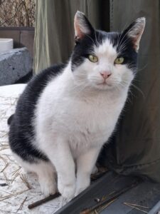 32300e0d-cd55-4564-8513-22ceaf8ef30c