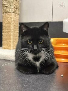 46f05ddb-39e6-4ca3-9da4-0a26945dabbb