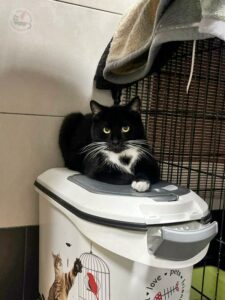 65ec02ac-921d-4727-910a-ec7807112755