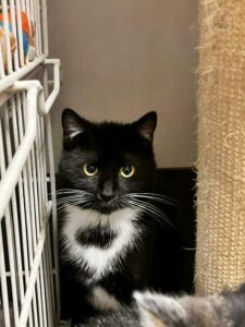 73ddd722-72b1-4f15-a1e9-b6079ae671e7