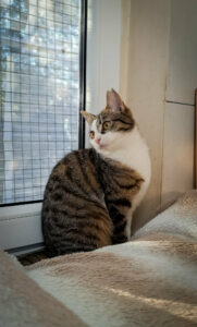 7e520a5d-68f8-46a7-9a15-1fc13df709e6