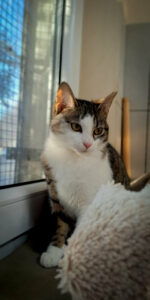 7e631b8c-aa03-4f65-9b3a-6b9f75a7b473