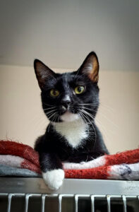 7f83ad63-61f8-46f3-b603-5da487e6256c