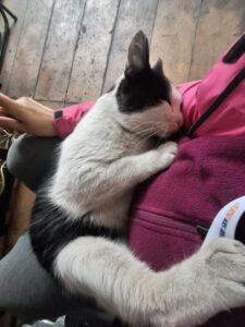 855c2654-31b9-4c48-838d-22dbe985a6bf