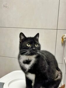 b01f0374-d3d1-4f38-8508-2fee3dc49cd7