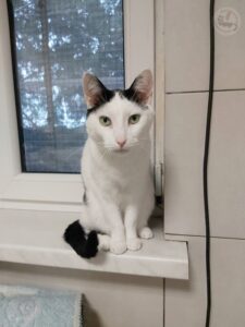 d0310228-0ce7-41c7-849b-feae331794c8