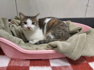 d7483bb7-7dbd-4272-9bde-63eb5ffdad2e