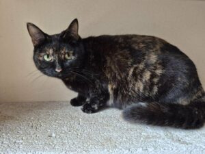 0b20746d-f558-4406-b02c-2efce3ee0bae