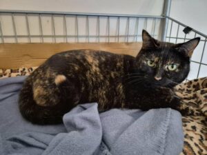 78373a20-8823-41e5-acf9-edf0762087c3