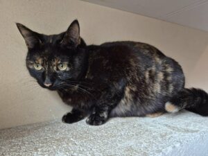 915293e8-01db-44d1-89a8-26ae4fca99e6