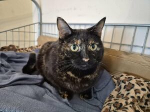 c48e5606-ac4f-4ce4-832a-cae0ff1b6db1